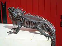 iguane02.jpg