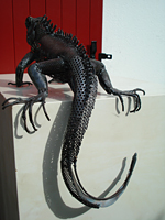 iguane08.jpg