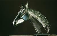 cheval_tete02.jpg