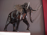 elephant_fric06.jpg