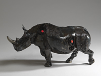 rhino04.jpg